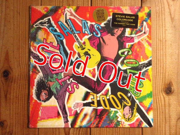 画像1: Stevie Salas Colorcode / Stevie Salas Colorcode (1)