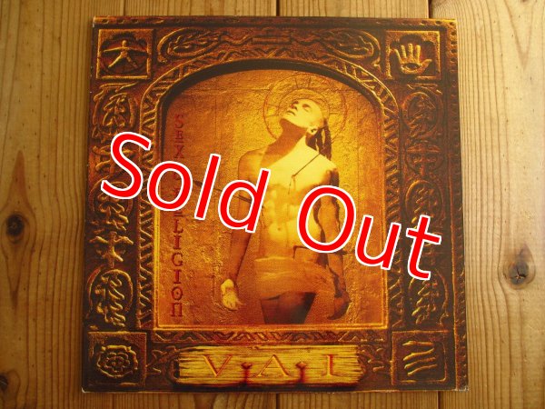 画像1: Steve Vai / Sex & Religion (1)