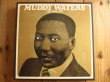 画像1: 11枚組LPボックス！■Muddy Waters / Muddy Waters (The Chess Box) (1)