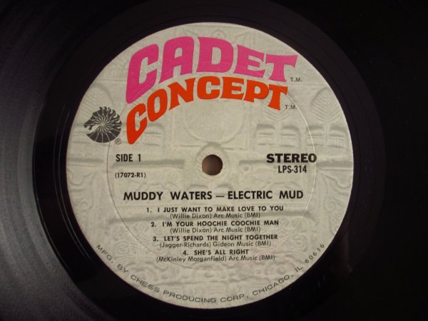 画像4: Muddy Waters / Electric Mud (4)