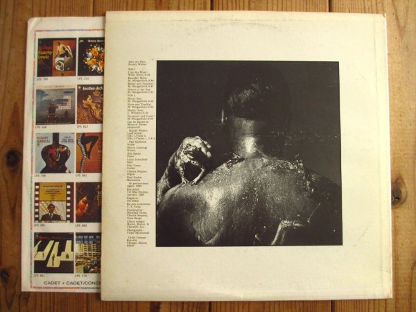 画像2: Muddy Waters / After The Rain (2)