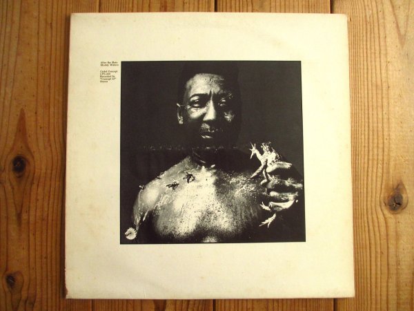 画像1: Muddy Waters / After The Rain (1)