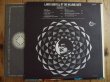 画像2: Larry Coryell / At The Village Gate (2)