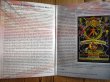 画像2: The Allman Brothers Band / Fillmore West 1-31-71 (2)