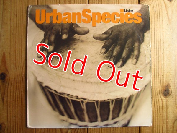 画像1: Urban Species / Listen (1)