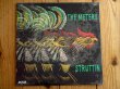 画像1: The Meters / Struttin' (1)