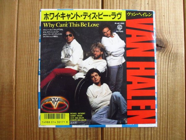 画像1: Van Halen / Why Can't This Be Love (1)