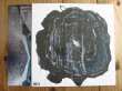 画像2: Rafiq Bhatia / Yes It Will (2)