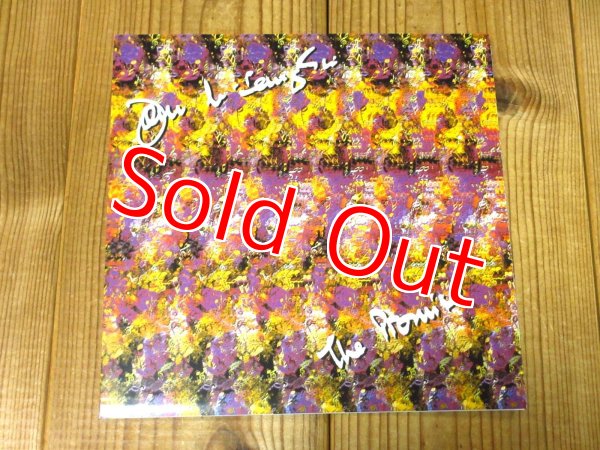 画像4: John McLaughlin / The Promise (4)