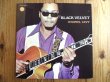 画像1: O'Donel Levy / Black Velvet (1)