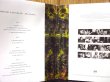 画像2: John McLaughlin / The Promise (2)