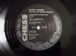 画像3: Muddy Waters / The Best Of Muddy Waters (3)