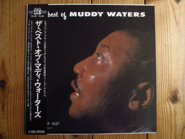 画像1: Muddy Waters / The Best Of Muddy Waters (1)