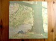 画像1: John Lennon / Plastic Ono Band (1)