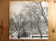 画像1: Bruce Cockburn / High Winds White Sky (1)