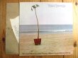 画像2: Neil Young / On The Beach (2)