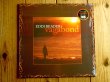 画像1: Eddi Reader / Vagabond (1)