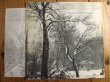 画像2: Bruce Cockburn / High Winds White Sky (2)