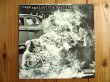 画像1: ⭐️Rage Against The Machine / Rage Against The Machine (1)
