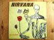 画像1: ⭐️Nirvana / Incesticide (1)