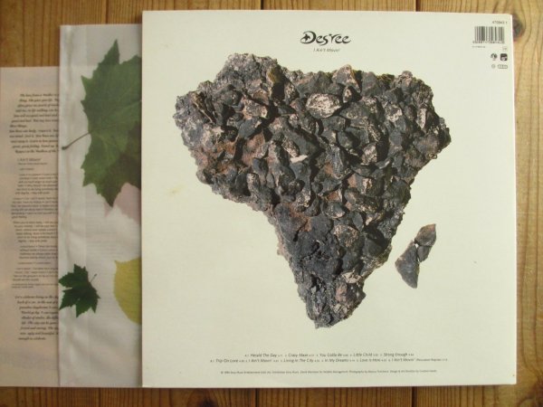 画像3: Des'ree / I Ain't Movin' (3)