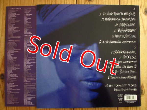画像2: Keziah Jones / Blufunk Is A Fact! (2)