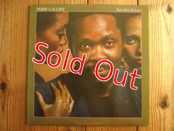 画像1: Terry Callier / Turn You To Love (1)