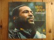 画像1: Marvin Gaye / What's Going On  (1)