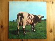 画像1: Pink Floyd / Atom Heart Mother (1)