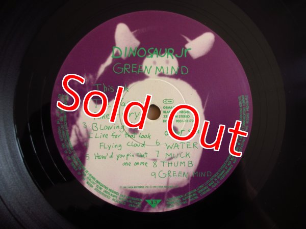 画像3: Dinosaur Jr / Green Mind (3)
