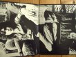 画像2: T. Rex / Electric Warrior (2)