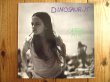 画像1: Dinosaur Jr / Green Mind (1)