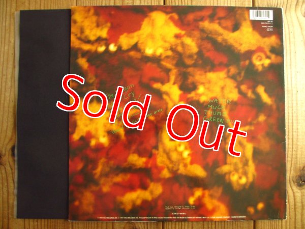 画像2: Dinosaur Jr / Green Mind (2)