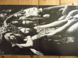 画像2: Steely Dan / Pretzel Logic (2)
