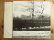 画像3: Steely Dan / Pretzel Logic (3)