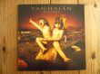 画像1: Van Halen / Balance (1)