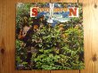 画像1: Savoy Brown / A Step Further (1)
