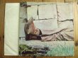 画像3: James Taylor / James Taylor (3)