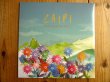 画像1: 未開封デッドストック！■Kurt Rosenwinkel / Caipi (1)