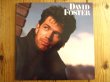 画像1: David Foster / David Foster (1)