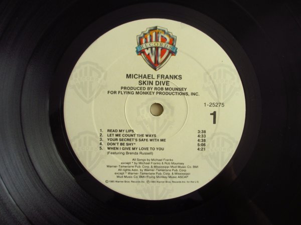 画像3: Michael Franks / Skin Dive (3)