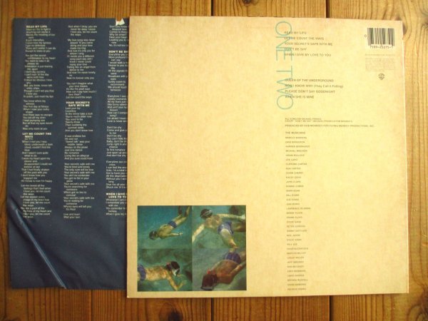 画像2: Michael Franks / Skin Dive (2)
