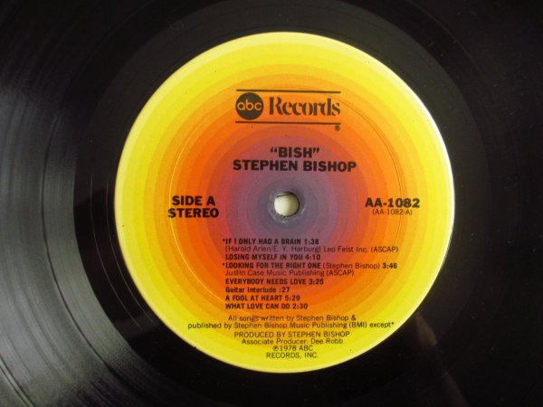画像4: Stephen Bishop / Bish  (4)