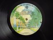 画像3: Michael Franks / Sleeping Gypsy  (3)