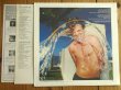画像2: Ned Doheny / Hard Candy  (2)