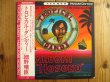 画像1: 細野晴臣 / トロピカル・ダンディー (1)