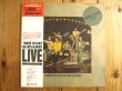 画像1: West Road Blues Band / Live (1)