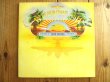 画像1: Wishbone Ash / Live Dates (1)