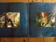 画像2: Bonnie Raitt / Dig In Deep (2)