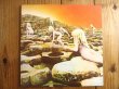 画像1: Led Zeppelin / Houses Of The Holy (1)